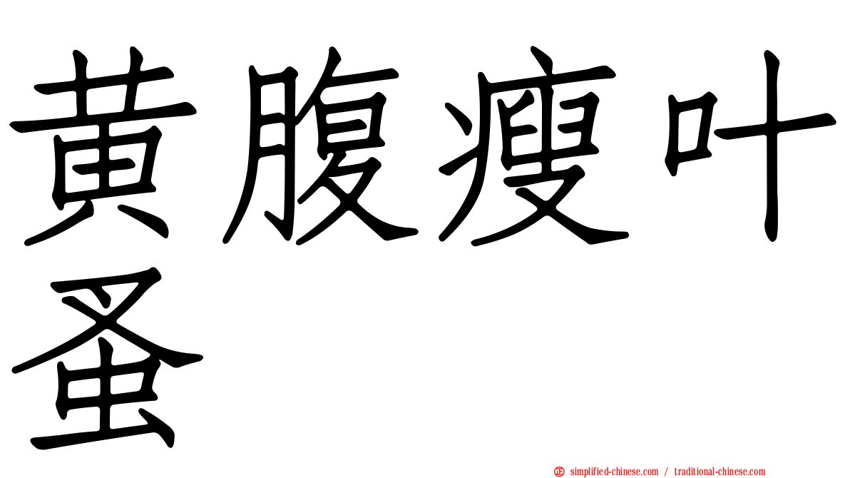黄腹瘦叶蚤