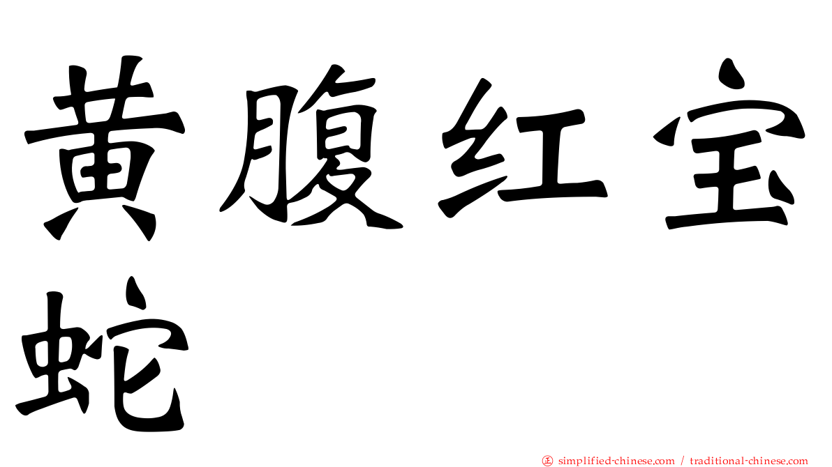黄腹红宝蛇