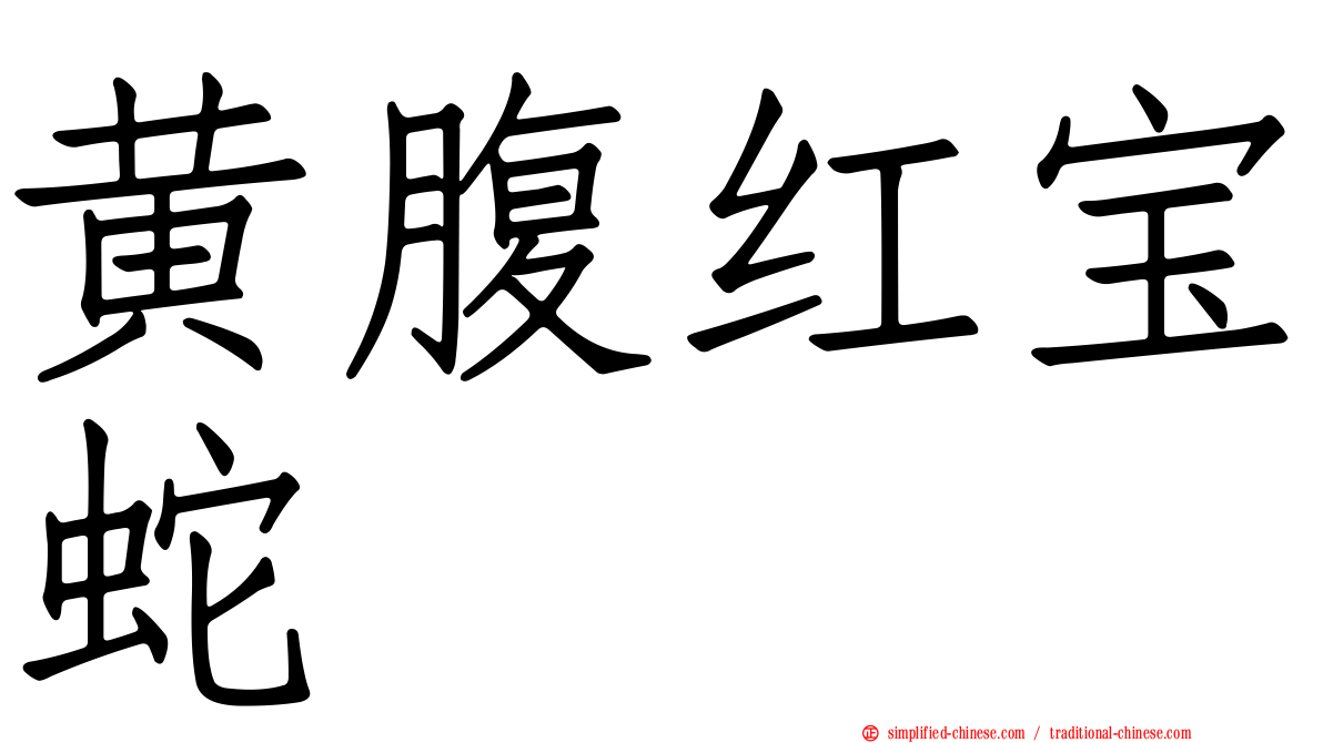 黄腹红宝蛇
