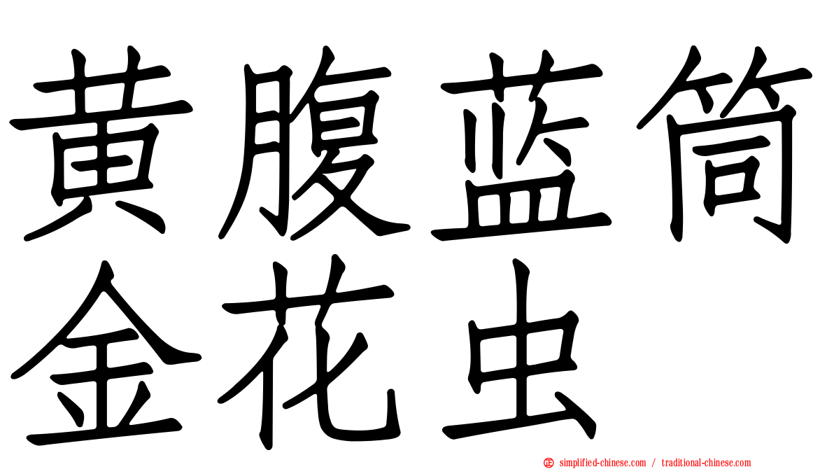 黄腹蓝筒金花虫