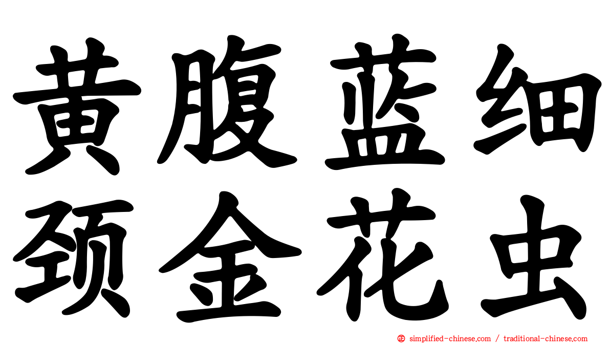 黄腹蓝细颈金花虫