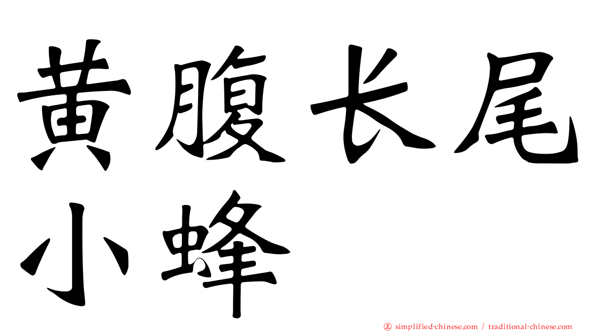 黄腹长尾小蜂