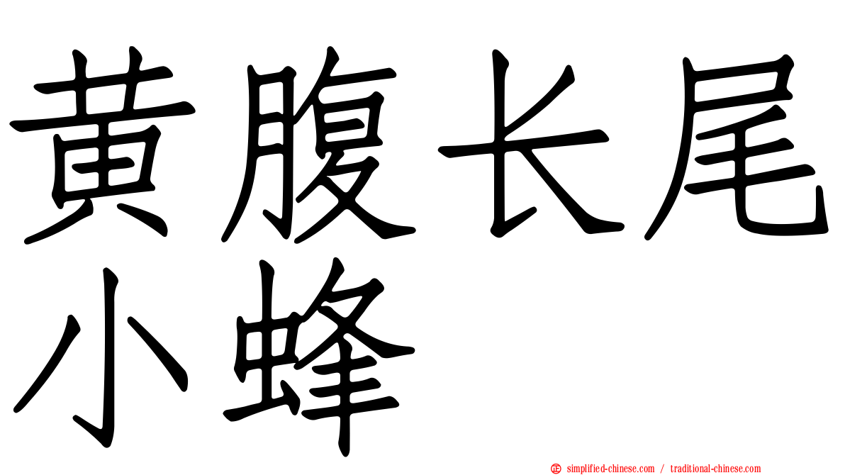 黄腹长尾小蜂