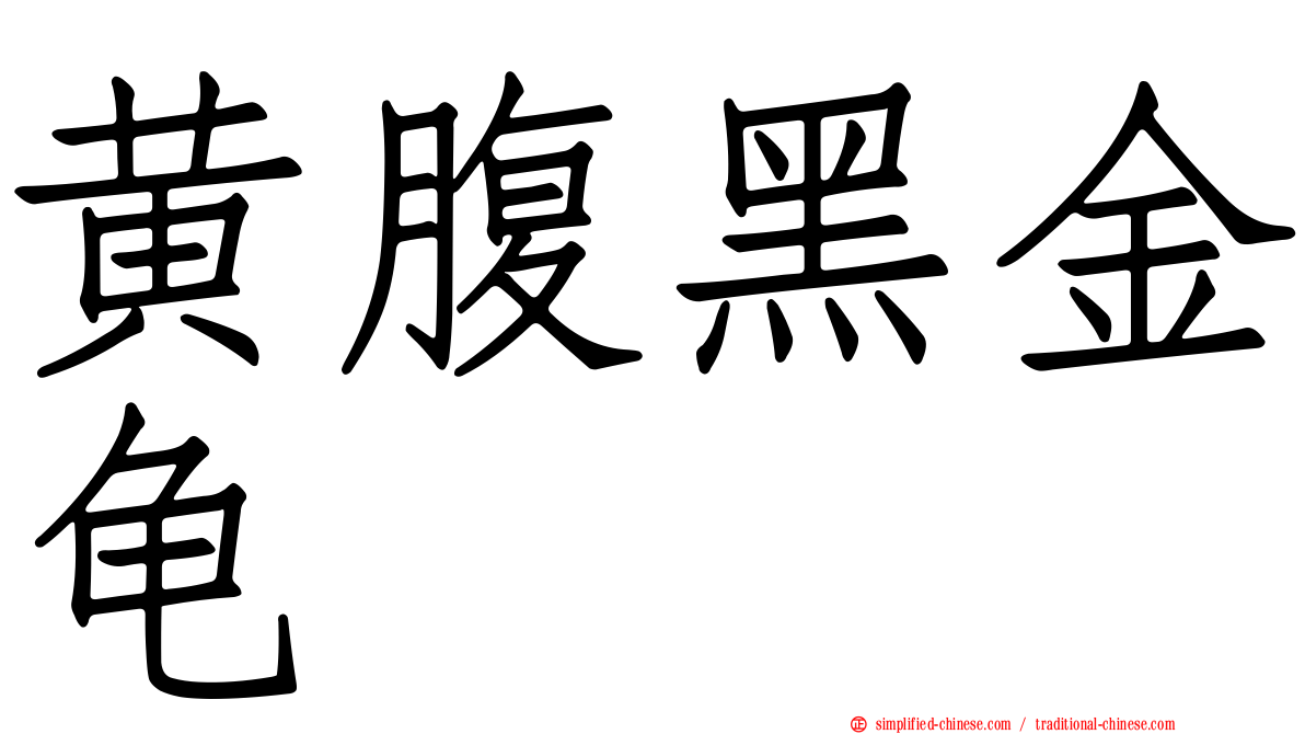 黄腹黑金龟