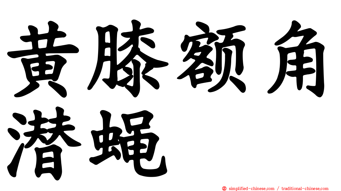黄膝额角潜蝇
