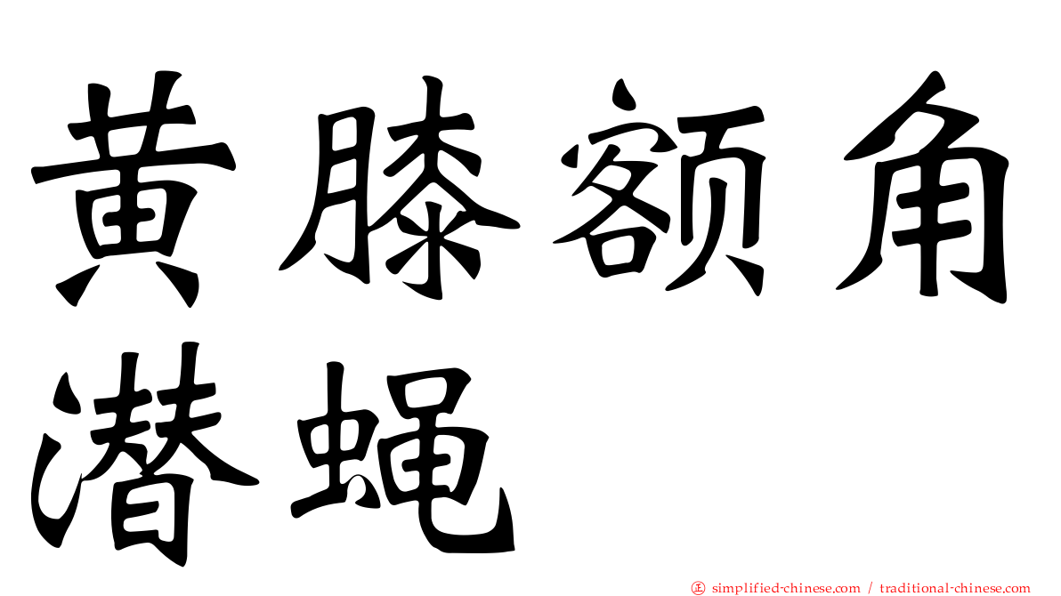 黄膝额角潜蝇