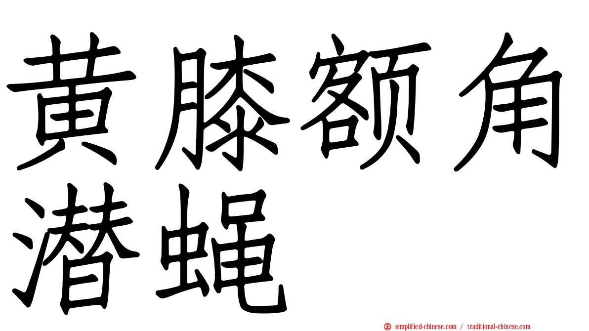 黄膝额角潜蝇