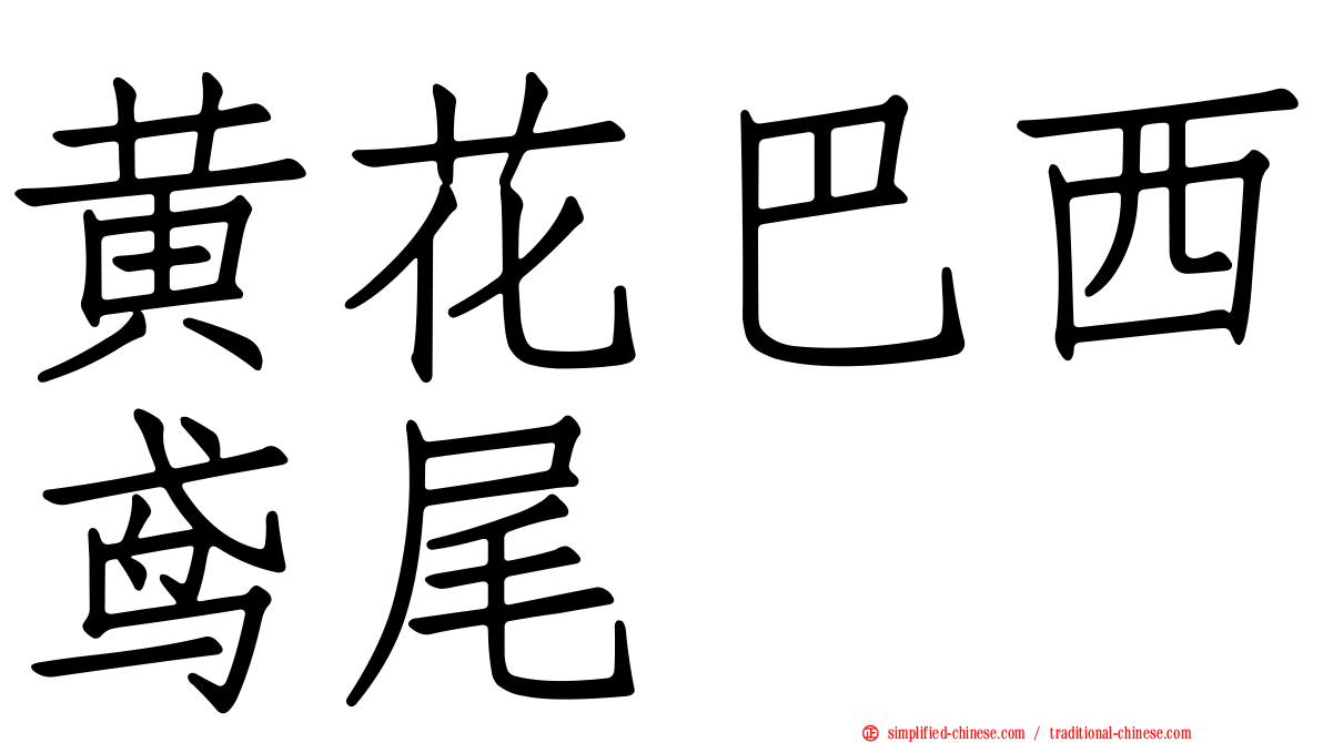 黄花巴西鸢尾