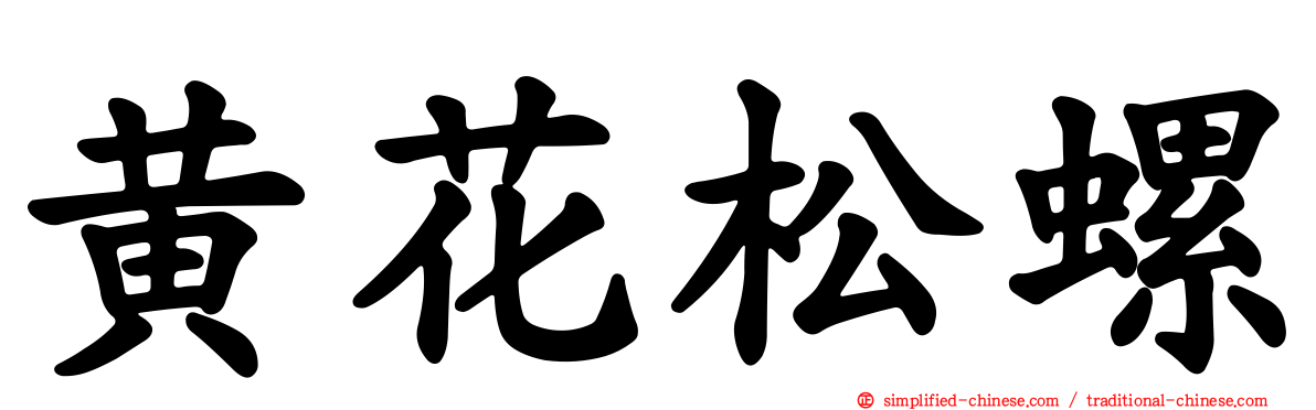 黄花松螺