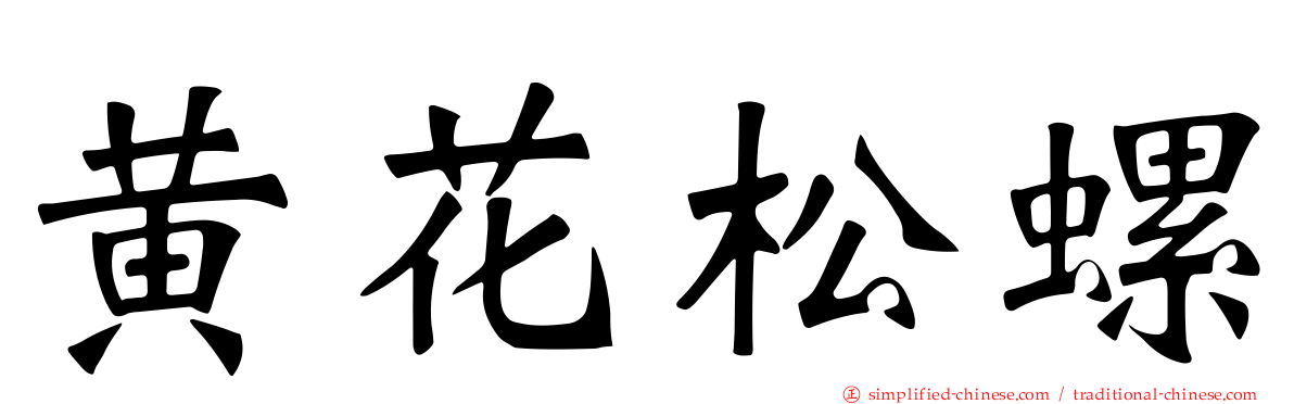 黄花松螺