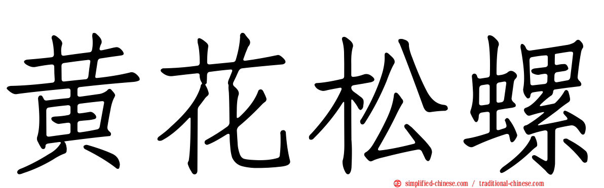 黄花松螺