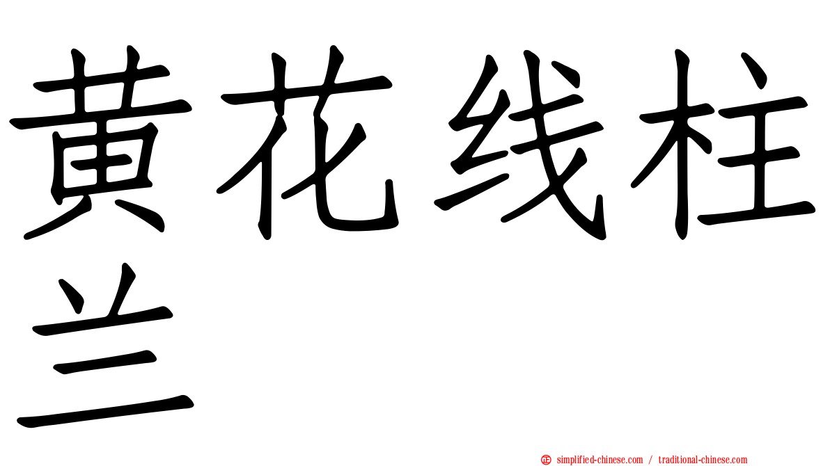 黄花线柱兰