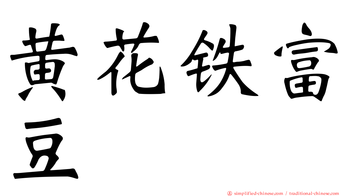 黄花铁富豆