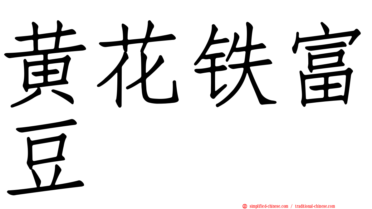 黄花铁富豆