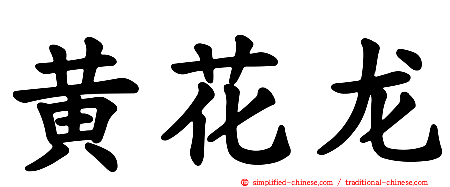 黄花龙