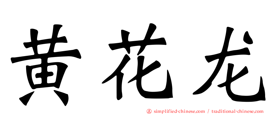 黄花龙