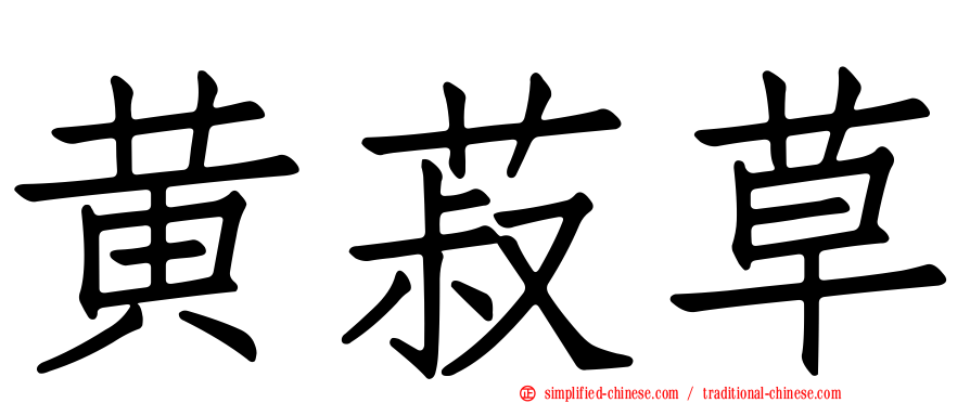 黄菽草