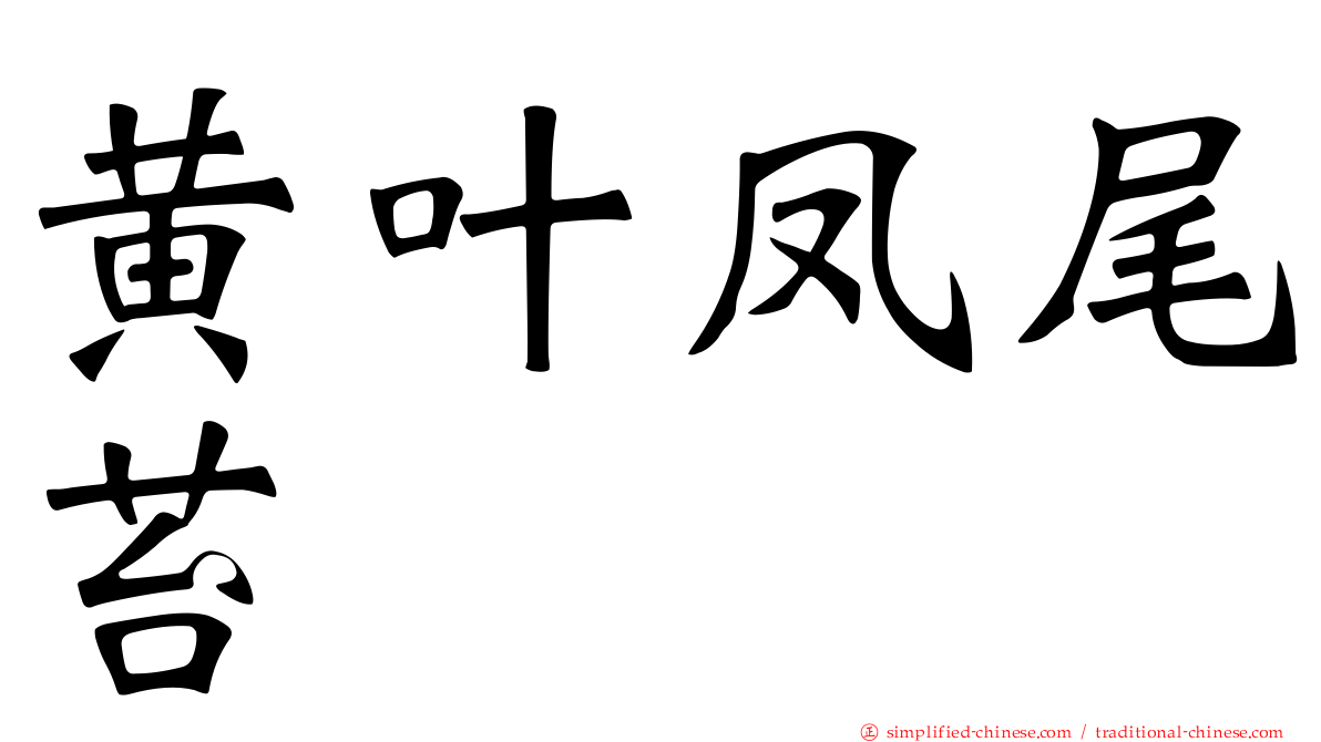 黄叶凤尾苔