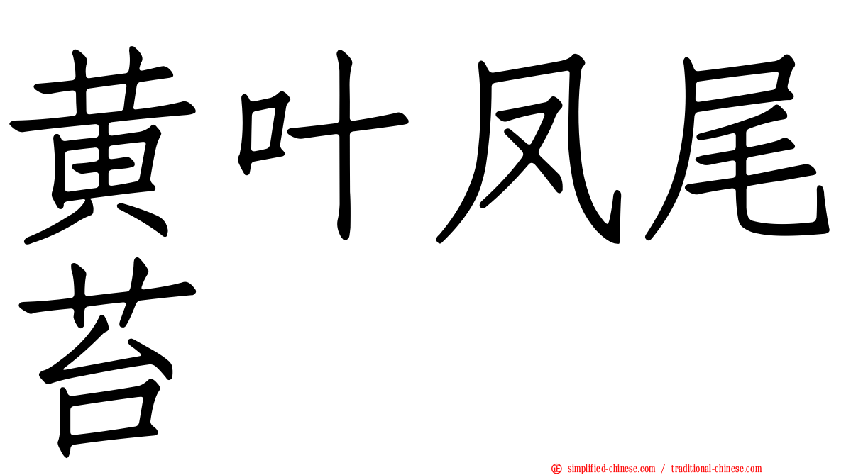 黄叶凤尾苔