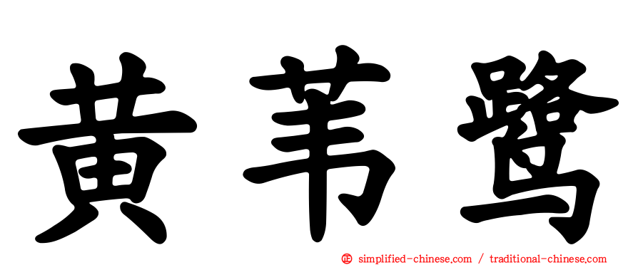黄苇鹭