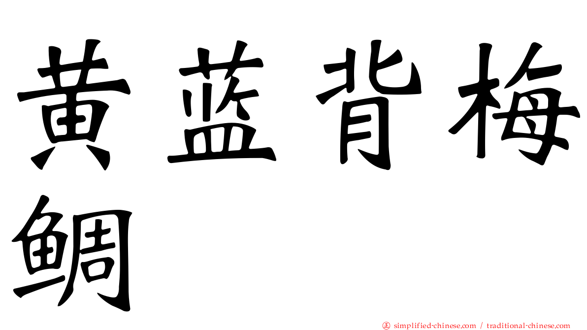 黄蓝背梅鲷