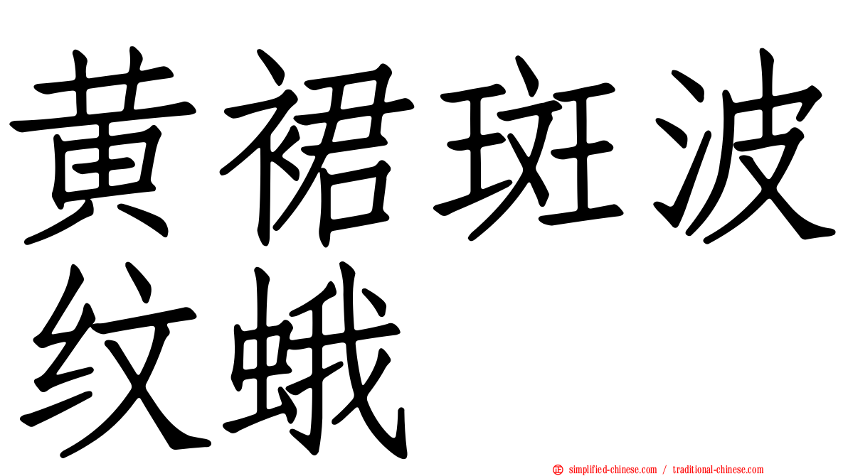 黄裙斑波纹蛾