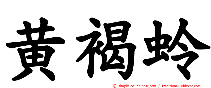 黄褐蛉