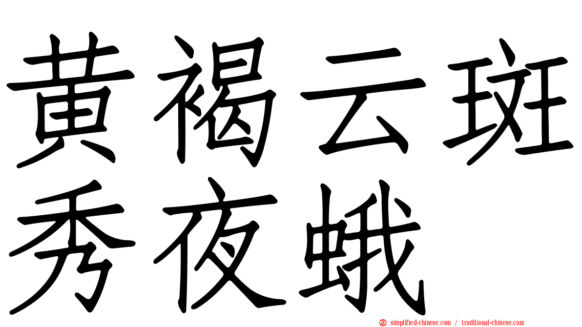 黄褐云斑秀夜蛾