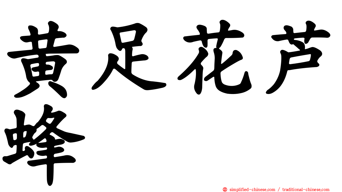 黄足花芦蜂