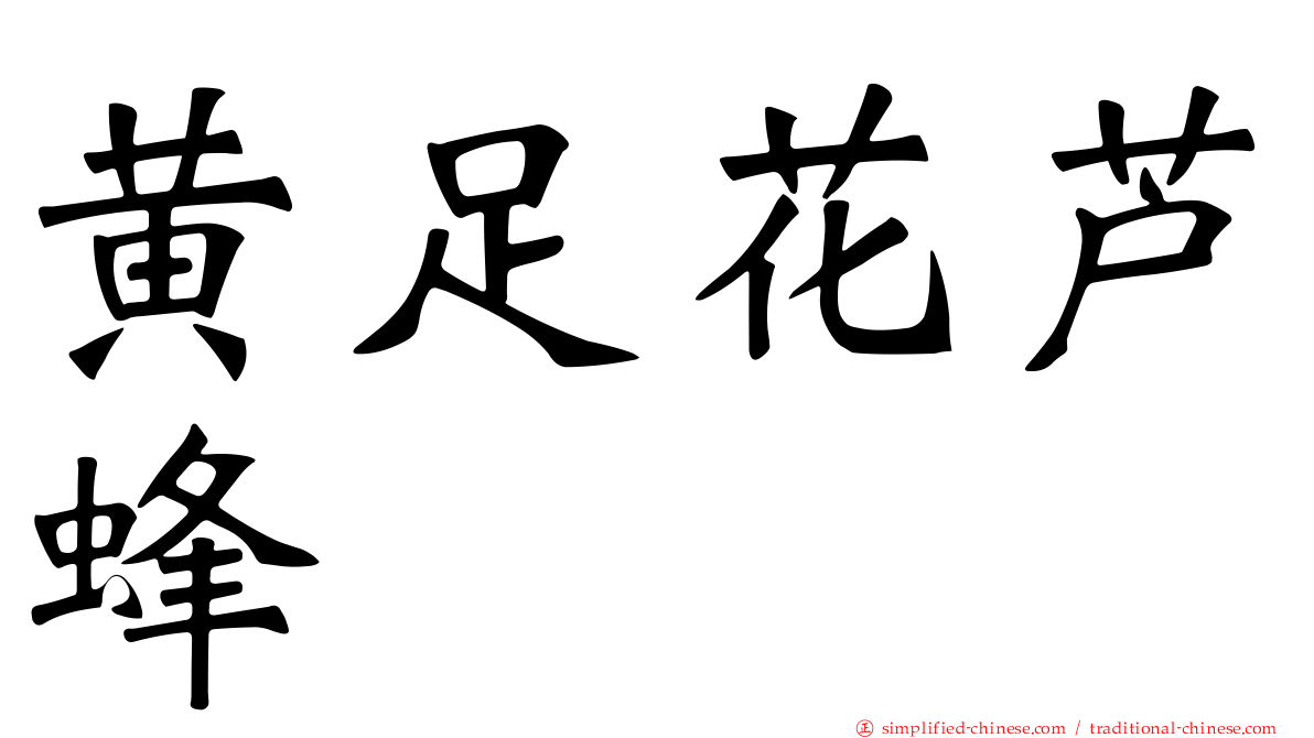 黄足花芦蜂