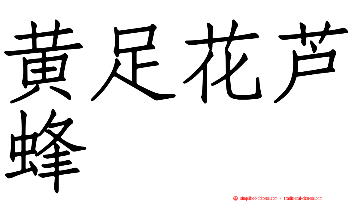 黄足花芦蜂