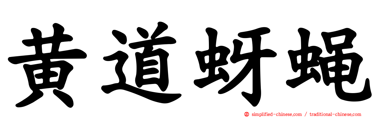黄道蚜蝇