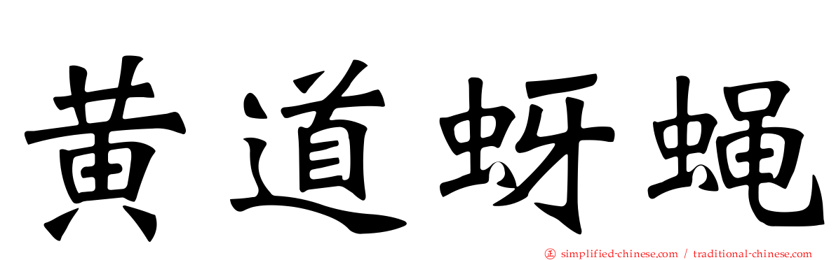 黄道蚜蝇