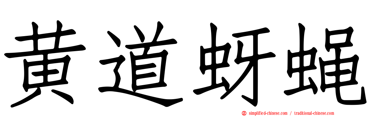 黄道蚜蝇