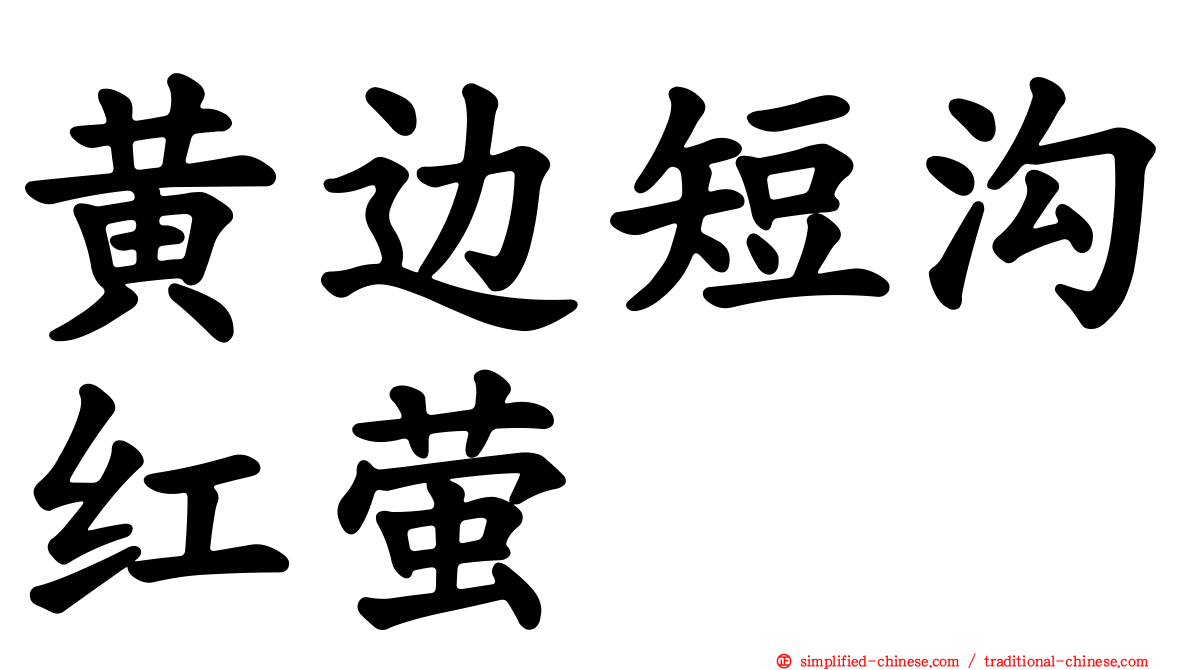 黄边短沟红萤