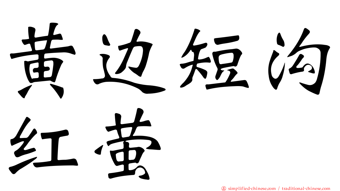 黄边短沟红萤