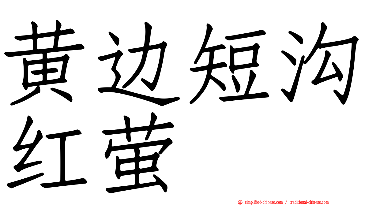 黄边短沟红萤