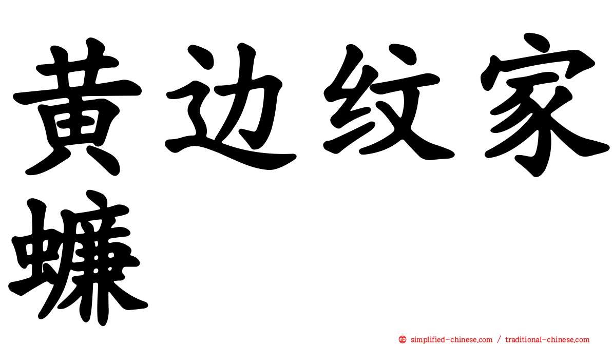 黄边纹家蠊