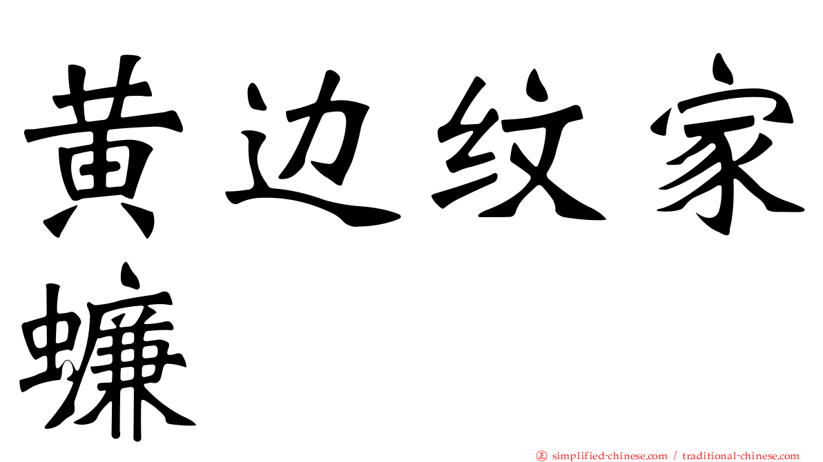 黄边纹家蠊