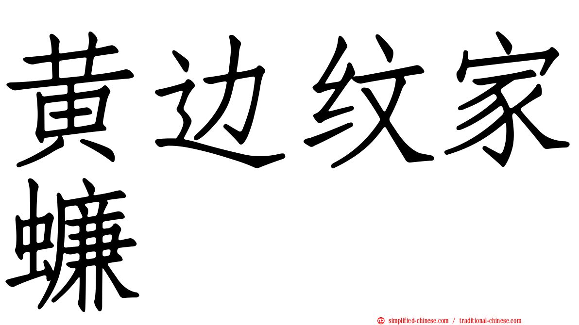 黄边纹家蠊