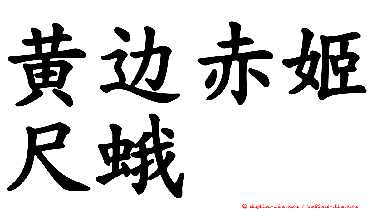 黄边赤姬尺蛾