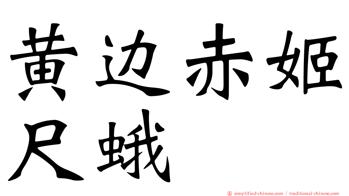 黄边赤姬尺蛾