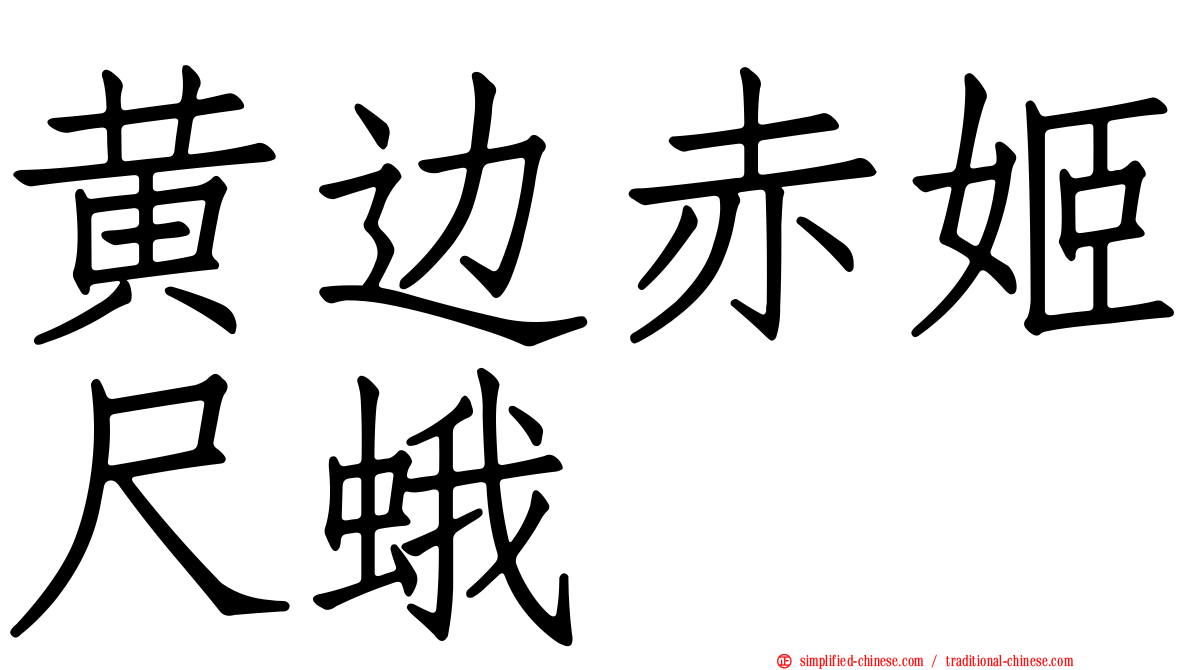 黄边赤姬尺蛾
