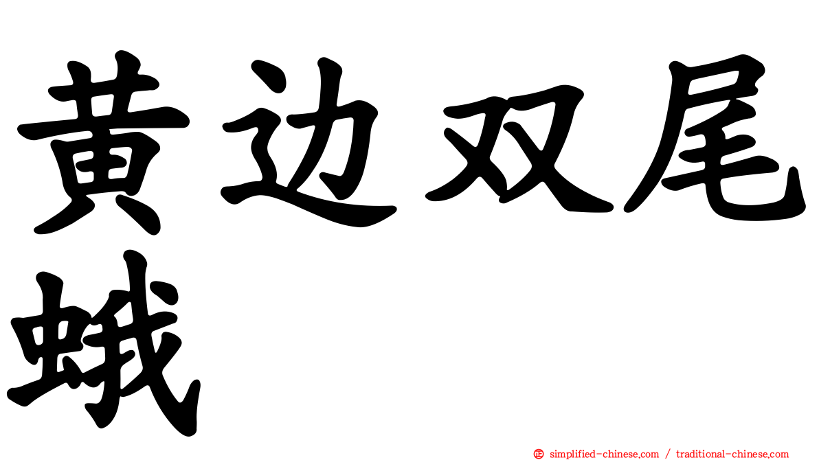 黄边双尾蛾