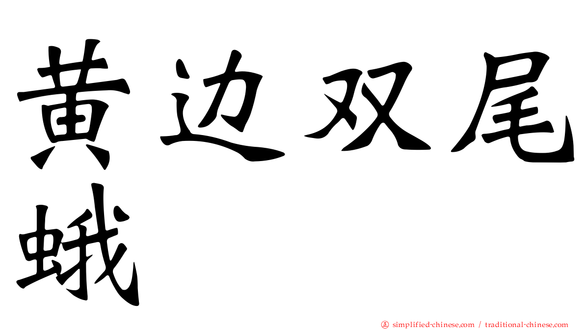 黄边双尾蛾