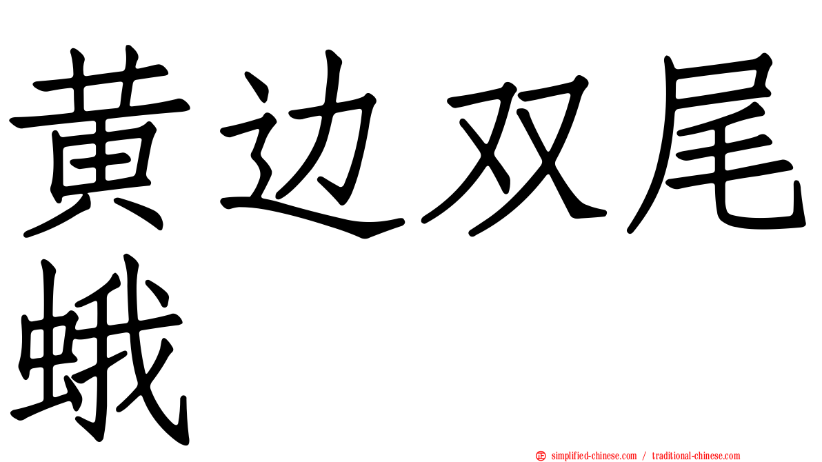 黄边双尾蛾
