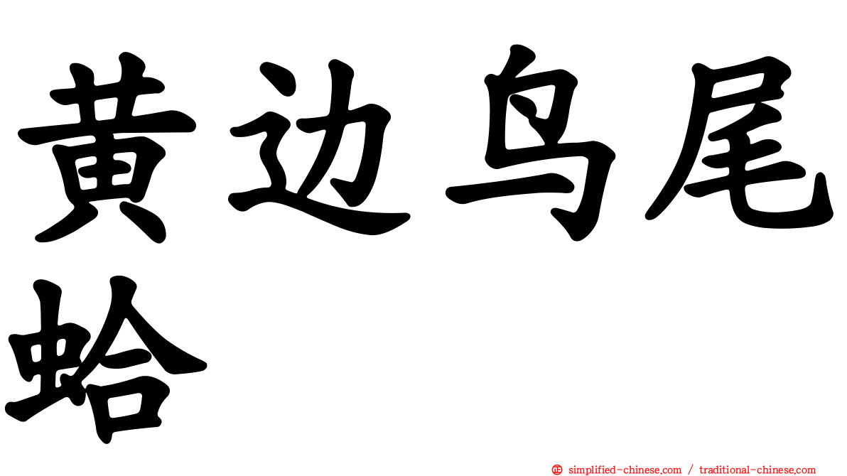 黄边鸟尾蛤
