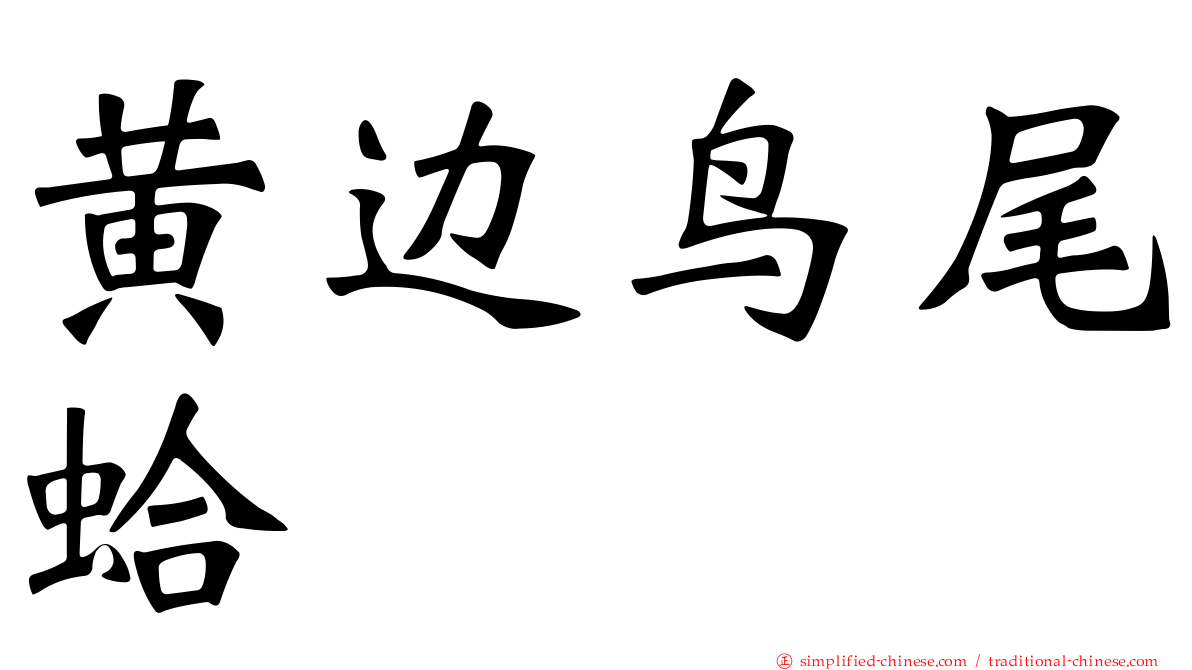 黄边鸟尾蛤