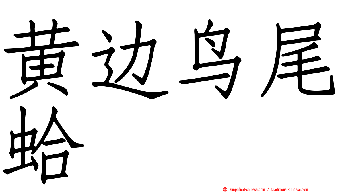 黄边鸟尾蛤