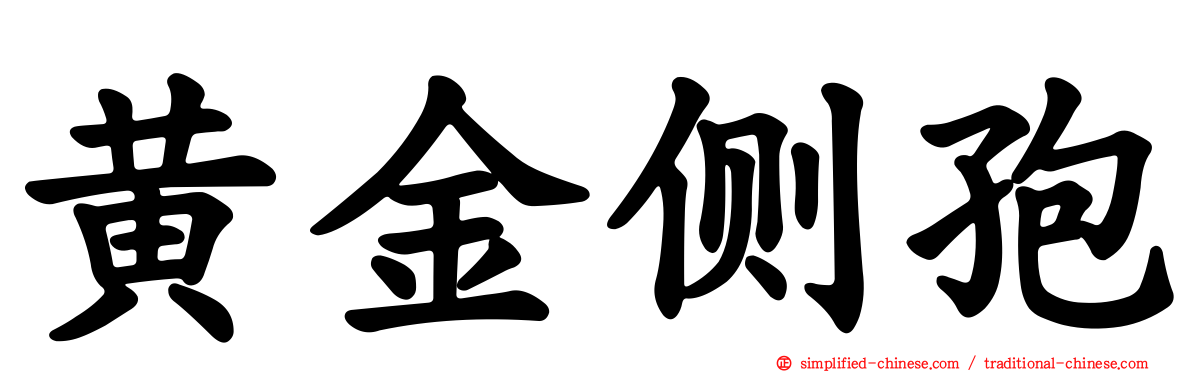 黄金侧孢
